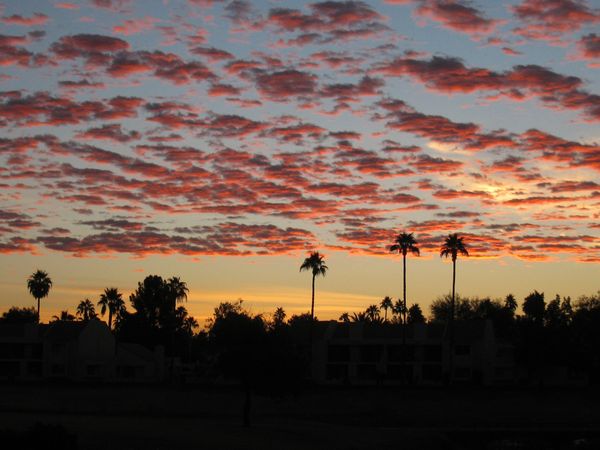  A Unique Scottsdale Sunrise by Dru Bloomfield - At Home in Scottsdale